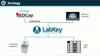 Molding and Maximizing the LabKey Platform for Clinical Translational Research