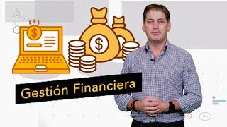 Gestión Financiera - Opinión Empresarial