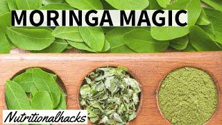 Moringa Magic: Unveiling the Nutritional Wonders!