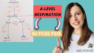 A-LEVEL  Respiration: Step 1 GLYCOLYSIS.  Phosphorylation of glucose, making TP and Pyruvate.