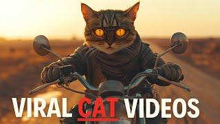 How to Create Viral Cats Videos with AI in 2024