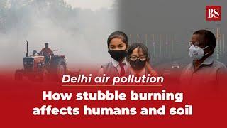 Delhi air pollution: How stubble burning affects humans and soil