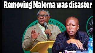 Fikile Mbalula: Removing Julius Malema from ANCYL was a disaster.