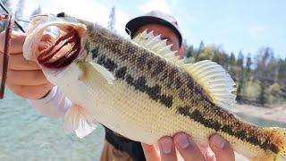 How I CATCH BASS with PLASIC WORM!!! At BASS LAKE (DO NOT WATCH!!! Unless you WANT TO KNOW)