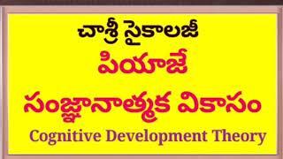 #DSC #TET #SGT #CHASRI  పియాజే సంజ్ఞానాత్మక వికాసం Cognitive Development Theory: చాశ్రీ సైకాలజీ