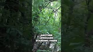 Abandoned Swim Club Overtaken by Trees