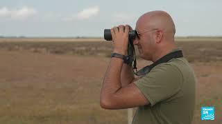 Spain’s wetlands are drying up: heat and intense farming threaten the Donana • FRANCE 24 English