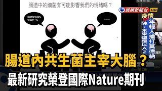 腸道內共生菌主宰大腦？ 研究榮登國際Nature期刊－民視新聞