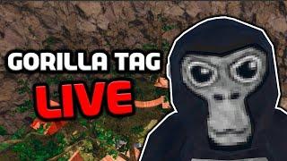 New Gorilla Tag Live Stream | Come Join !!