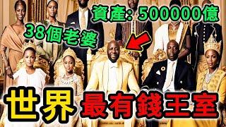 世界上最有錢的10個王室，榜首國王娶38個老婆，資產超過500000億。#世界之最top #世界之最 #出類拔萃 #腦洞大開 #top10 #最有錢王室