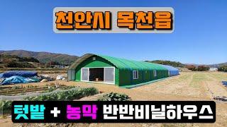 창고 + 농막 반반비닐하우스시공 (천안시 목천읍) warehouse + farmer's hutvinyl house