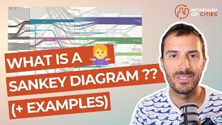 What is a SANKEY diagram (+ examples) ??