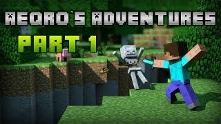 Aeqro's Adventures- Part 1 l The New Beginning