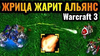 ЖРИЦА ЛУНЫ УДИВИЛА АЛЬЯНС: Забытая имба последнего патча вернулась в Warcraft 3 Reforged