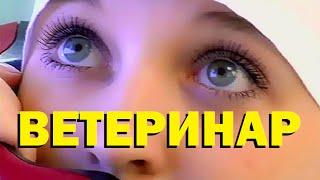 Галилео. Ветеринар