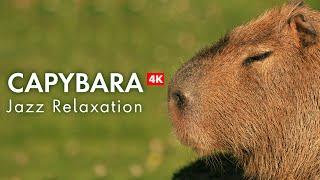 Relax with Capybaras & Jazz in 4K