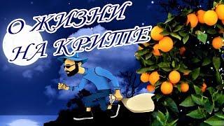 Греция остров Крит/ Тырим апельсины и даём рекомендации по переезду в Грецию