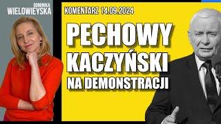 Pechowy Kaczyński na demonstracji | Dominika Wielowieyska komentarz  14.09.2024