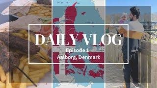 From Pakistan to Denmark: A Daily Vlog of My Danish Life in Urdu/Hindi