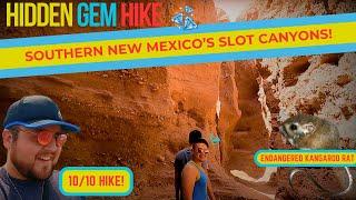 Boundary Break IRL- The BEST Hidden Hike in the Southwest!? Warped Slot Canyons in New Mexico!