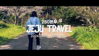 보알못 팀 제주도 워크샵