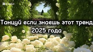 Танцуй если знаешь этот тренд 2025 года