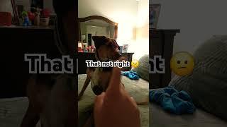 What grade are you going into  #funny #comedy