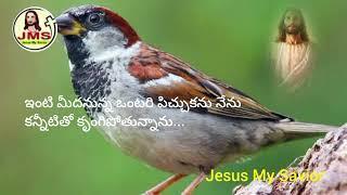 Lonely sparrow -#jms #jesuschrist #youtubeshorts #christians #savior #saviour #ytshorts #love #news