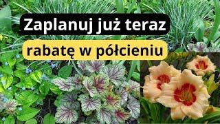 Najlepsze byliny na rabaty w półcieniu, ozdobne z kwiatów i liści - zestaw roślin łatwych w uprawie