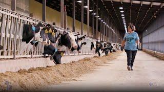 Wisconsin Life | Dairy Farm Life