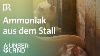 Ammoniak aus dem Stall | Unser Land | BR Fernsehen