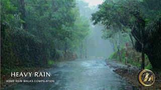 Heavy Rain Walks Compilation | ASMR Rain and Thunder Sound for Sleep and Meditation | 3 Hours