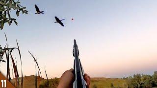 HUNTING Early Season GEESE in Wyoming | OPENING Weekend Duck and Goose Hunt