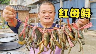 香煎红母鲟：670买7只红母鲟，阿胖山做煎蟹下酒，满满都是蟹膏！阿胖山：忙碌于乡村的本土厨子，喜欢做大锅饭。