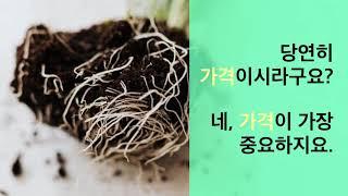 [한스연TV] 가성비 최고의 고품질 양액 관주용비료 고르는 방법