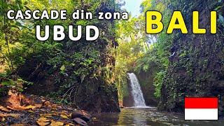 OBIECTIVE TURISTICE din UBUD: Cascada MANUABA & Cascada TANGKUP