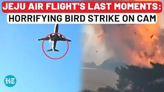 Jeju Air Tragedy: Final Moments Of Disaster Caught on Camera | Bird Strike Causes Catastrophic Crash