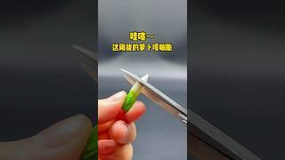 這剛拔的蘿蔔真的好新鮮，一刀下去直接爆汁#miniature