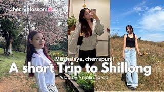 A short Trip to Shillong  | Vlog-54 | 