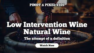 Pinot & Pixel #105 Low intervention wine Mathias Winter Petersen ‍️definition of natural wine