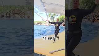 사육사가 물 뿌리자 뇌절해버린 범고래