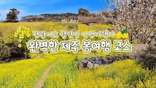 3월과 4월에 꼭 가야 하는 제주도 봄여행 코스  인생여행지 추천 | 서귀포 중문, 대평