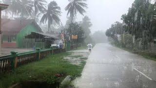 Big Extreme wind thunderstorm & Rain Sounds | Storm Thunder | I Walk Very refreshing and soothing