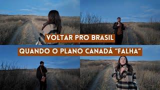 POR QUE TEM TANTO BRASILEIRO SAINDO DO CANADÁ E VOLTANDO PRO BRASIL? 