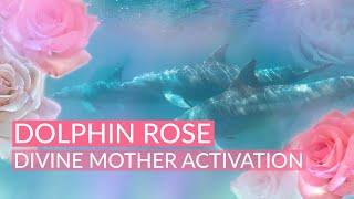 Dolphin Rose Divine Mother Activation | Guided Meditation