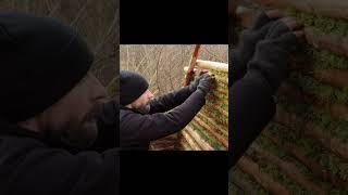 Building a Survival Cabin with Chimney-Fireplace