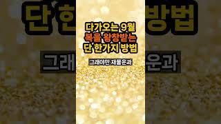 9월에 성공하는 단 한가지 방법 공개합니다 #9월운세