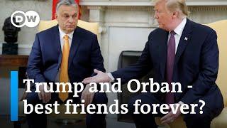 Why many Hungarian Americans support Trump, Orban | DW News