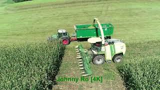 Maishäckseln mit LU Biggel, Krone Big X 1100 mit 12 Reihen Maisgebiss, Case, Fendt Teil 7 2024 [4K]