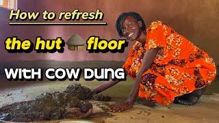 How to refresh house floors with cowdung / why we smear cowdung on the floor of our huts 